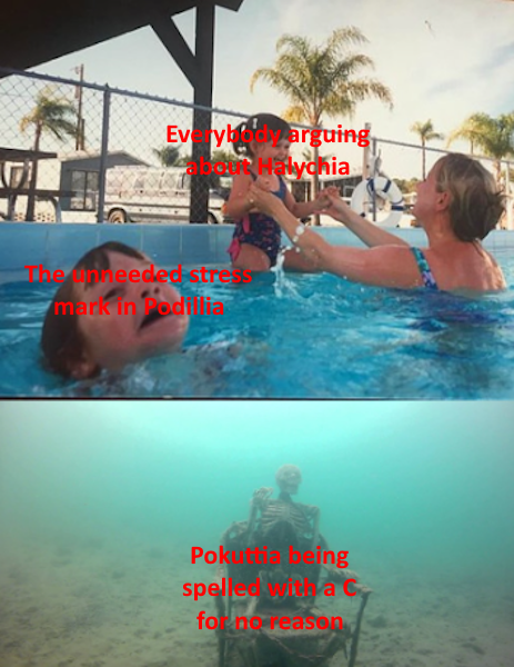1725763565754.png