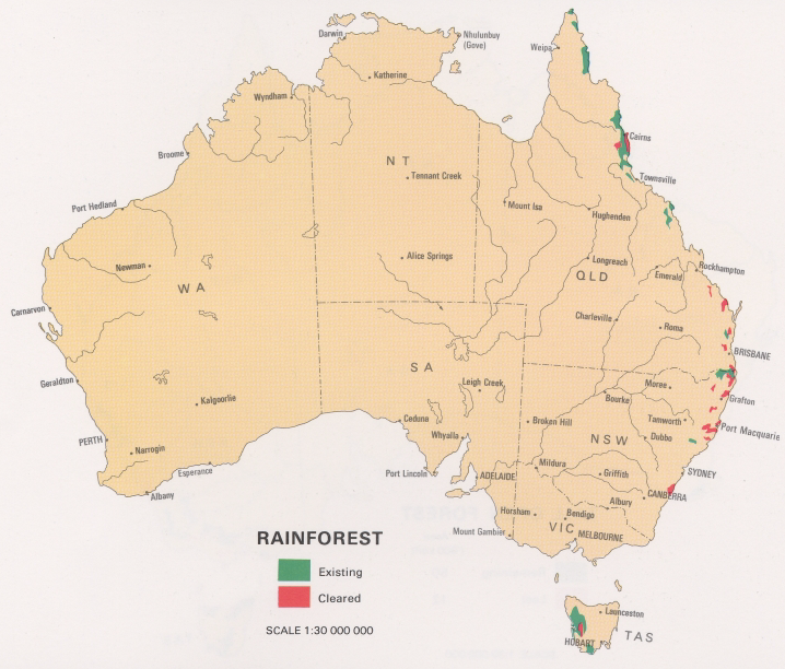 rainforests.png