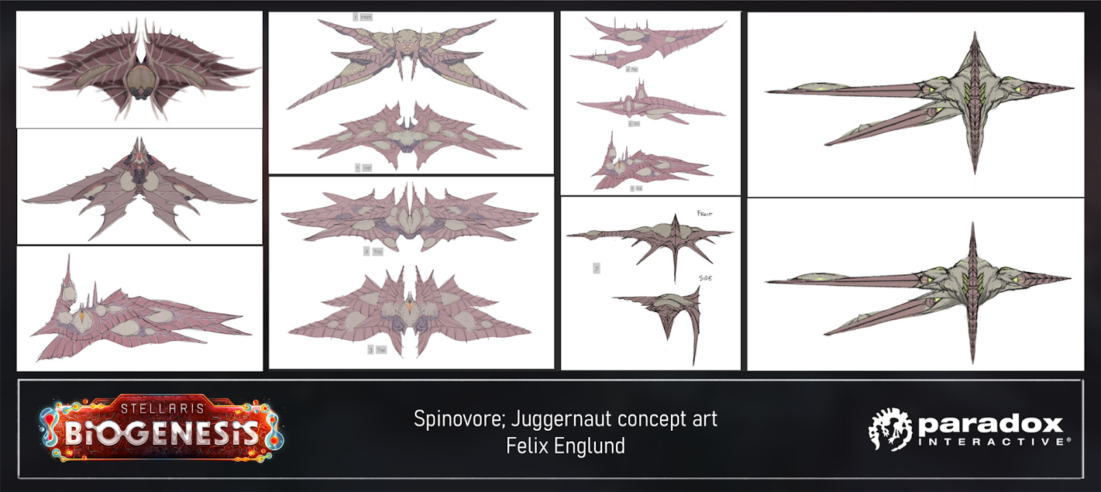 75.png