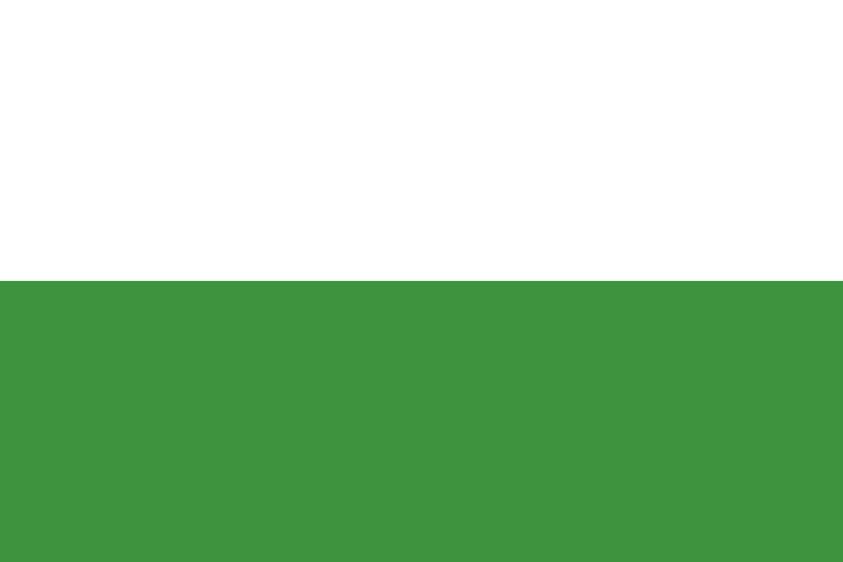 FLAGS...and coat of arms too! | Page 12 | Paradox Interactive Forums