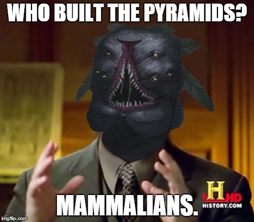10o2w0.jpg