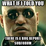 whatifbugreport.jpg
