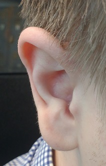 Daniels_ear_for_your_enjoyment.jpg