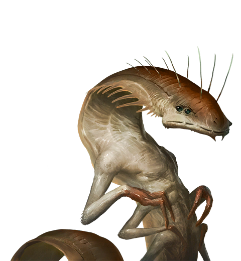 Arthropoid_slender_05.png