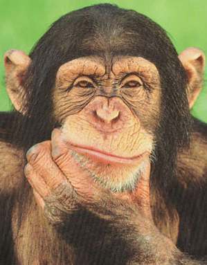 thinker2.jpg