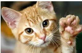 upload_2017-10-24_16-9-12.png upload_2017-10-24_16-9-12.png