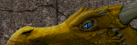 dragon_face.png