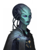 IMG_2366.PNG