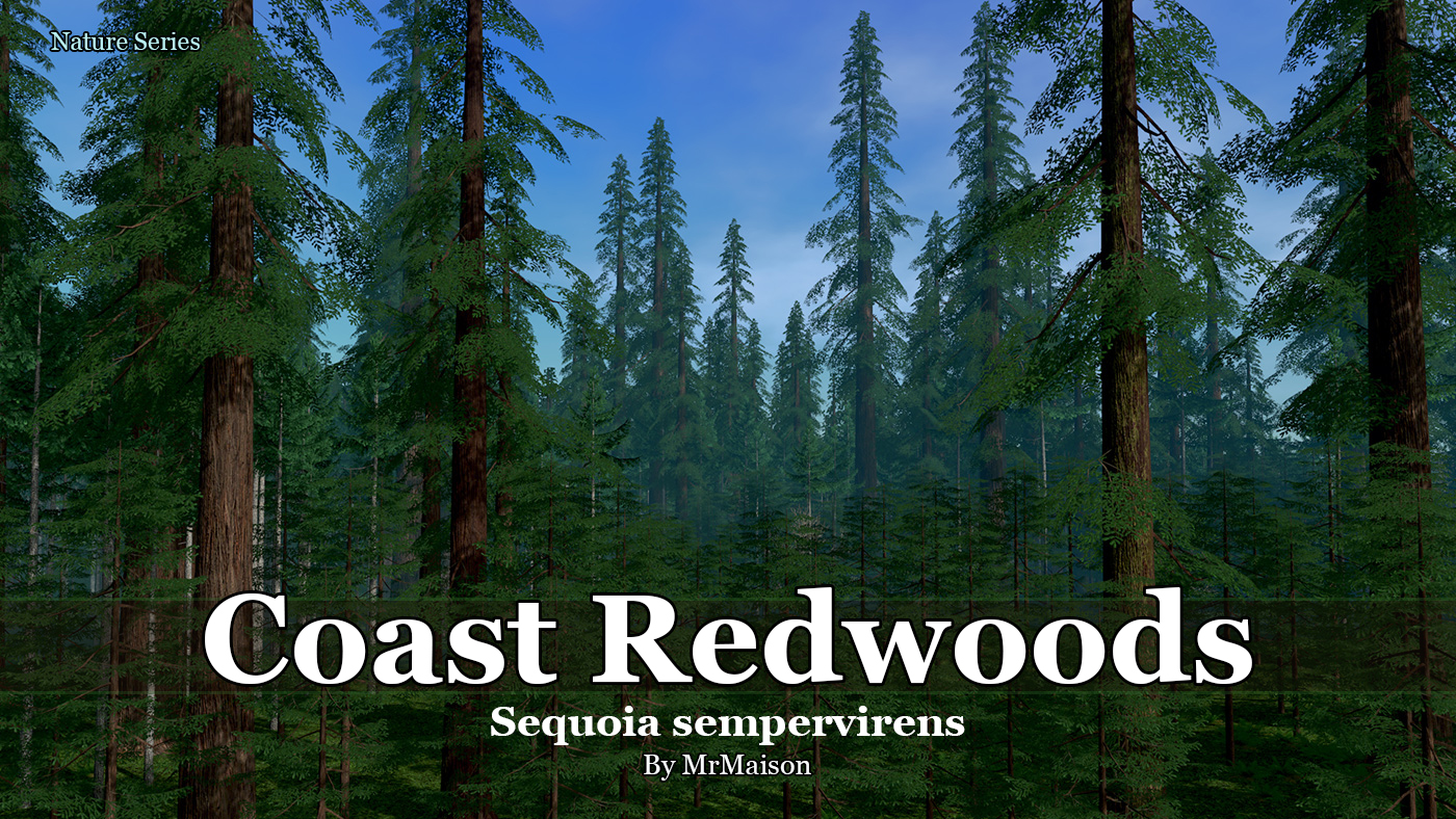 CoastRedwood_Promo.jpg