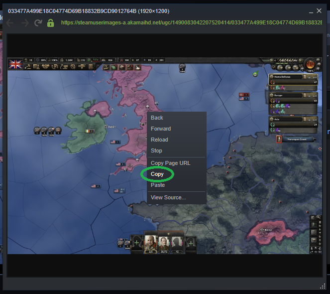 Right-click on the picture and select 'Copy' from the pop-up menu.