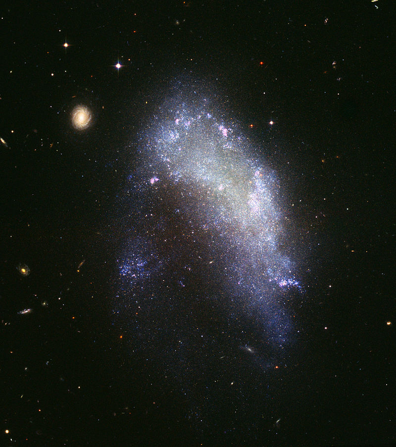 800px-Irregular_galaxy_NGC_1427A_(captured_by_the_Hubble_Space_Telescope).jpg