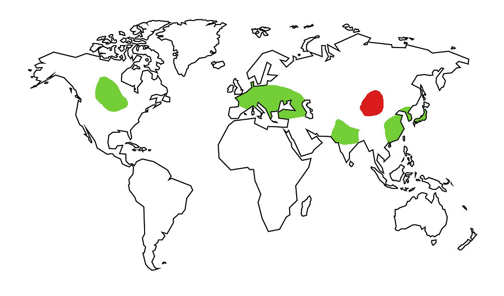 Buckwheat crops Page 2 Paradox Interactive Forums