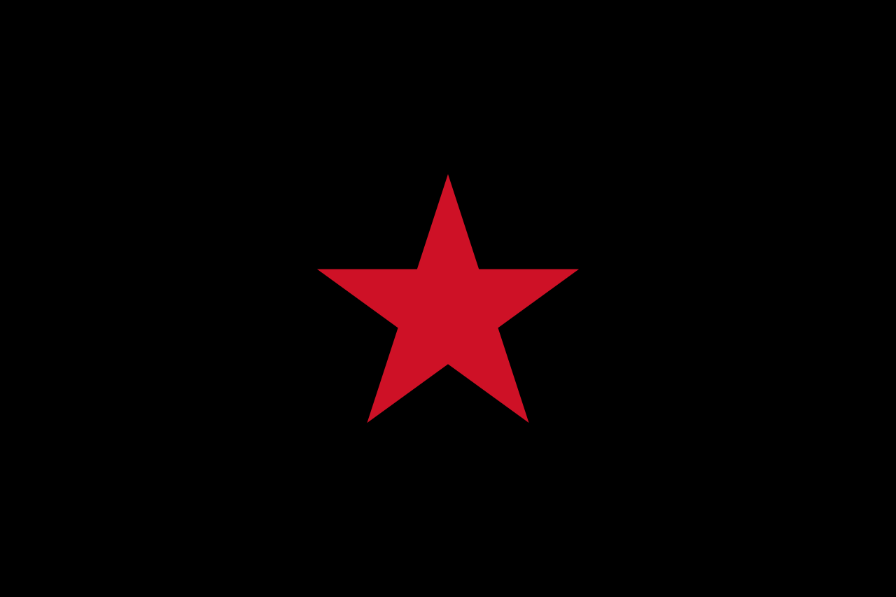 Ejército_Zapatista_de_Liberación_Nacional,_Flag.svg.png