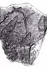 Youra_Potsherd.jpg Youra_Potsherd.jpg
