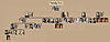 familytree.jpg