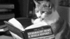 57_new.gif