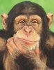 thinker2.jpg
