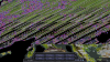 ex3.png