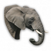 warelephant.png