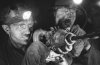coal_miners.jpg