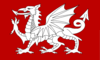 White_Dragon_Flag_of_England.png