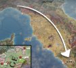 romeaierror.jpg