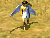 wingedOne.png