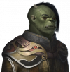 Ork.png